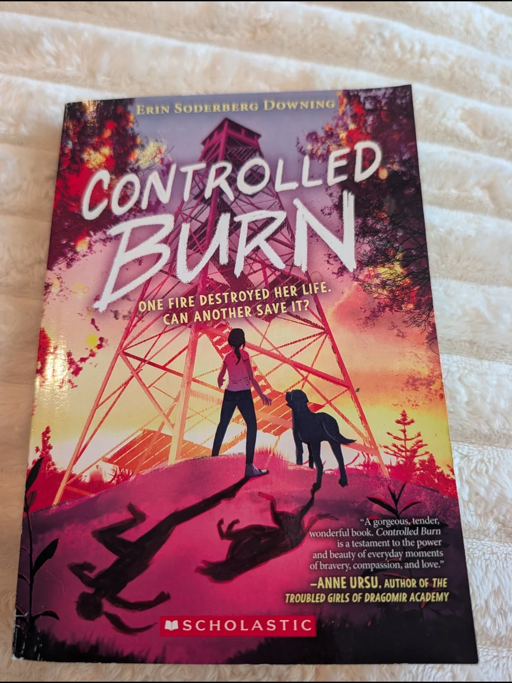Controlled Burn Scholastic Book
